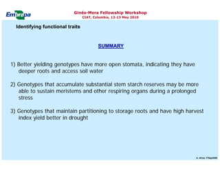 Current status and utilization of cassava wild Ginés-Mera Fellowship Workshop CIAT, Colombia, 12-13 May 2010 germplasm at Embrapa Cassava & Tropical Fruits