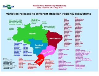 Current status and utilization of cassava wild Ginés-Mera Fellowship Workshop CIAT, Colombia, 12-13 May 2010 germplasm at Embrapa Cassava & Tropical Fruits
