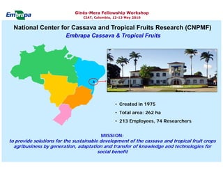 Current status and utilization of cassava wild Ginés-Mera Fellowship Workshop CIAT, Colombia, 12-13 May 2010 germplasm at Embrapa Cassava & Tropical Fruits
