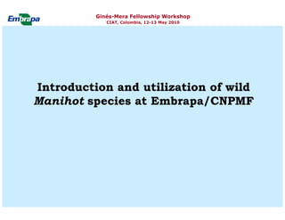 Current status and utilization of cassava wild Ginés-Mera Fellowship Workshop CIAT, Colombia, 12-13 May 2010 germplasm at Embrapa Cassava & Tropical Fruits
