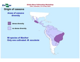 Current status and utilization of cassava wild Ginés-Mera Fellowship Workshop CIAT, Colombia, 12-13 May 2010 germplasm at Embrapa Cassava & Tropical Fruits