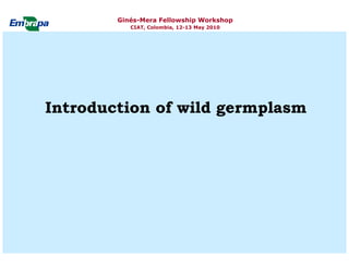 Current status and utilization of cassava wild Ginés-Mera Fellowship Workshop CIAT, Colombia, 12-13 May 2010 germplasm at Embrapa Cassava & Tropical Fruits