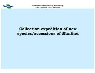 Current status and utilization of cassava wild Ginés-Mera Fellowship Workshop CIAT, Colombia, 12-13 May 2010 germplasm at Embrapa Cassava & Tropical Fruits