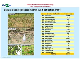 Current status and utilization of cassava wild Ginés-Mera Fellowship Workshop CIAT, Colombia, 12-13 May 2010 germplasm at Embrapa Cassava & Tropical Fruits