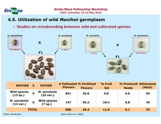 Current status and utilization of cassava wild Ginés-Mera Fellowship Workshop CIAT, Colombia, 12-13 May 2010 germplasm at Embrapa Cassava & Tropical Fruits