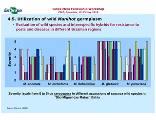 Current status and utilization of cassava wild Ginés-Mera Fellowship Workshop CIAT, Colombia, 12-13 May 2010 germplasm at Embrapa Cassava & Tropical Fruits