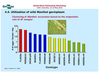 Current status and utilization of cassava wild Ginés-Mera Fellowship Workshop CIAT, Colombia, 12-13 May 2010 germplasm at Embrapa Cassava & Tropical Fruits