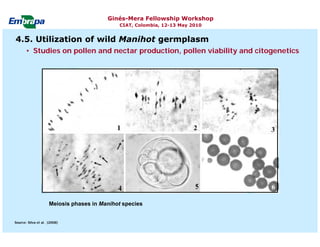 Current status and utilization of cassava wild Ginés-Mera Fellowship Workshop CIAT, Colombia, 12-13 May 2010 germplasm at Embrapa Cassava & Tropical Fruits
