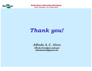 Current status and utilization of cassava wild Ginés-Mera Fellowship Workshop CIAT, Colombia, 12-13 May 2010 germplasm at Embrapa Cassava & Tropical Fruits