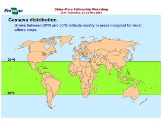 Current status and utilization of cassava wild Ginés-Mera Fellowship Workshop CIAT, Colombia, 12-13 May 2010 germplasm at Embrapa Cassava & Tropical Fruits