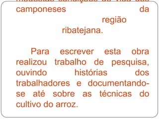 modestas condições de vida dos
camponeses                  da
                     região
          ribatejana.

     Para escrever esta obra
realizou trabalho de pesquisa,
ouvindo         histórias dos
trabalhadores e documentando-
se até sobre as técnicas do
cultivo do arroz.
 