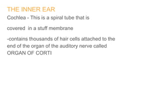 THE INNER EAR
Cochlea - This is a spiral tube that is
covered in a stuff membrane
-contains thousands of hair cells attached to the
end of the organ of the auditory nerve called
ORGAN OF CORTI
 