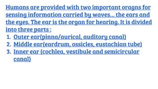 Humans are provided with two important oragns for
sensing information carried by waves… the ears and
the eyes. The ear is the organ for hearing. It is divided
into three parts :
1. Outer ear(pinna/aurical, auditory canal)
2. Middle ear(eardrum, ossicles, eustachian tube)
3. Inner ear (cochlea, vestibule and semicircular
canal)
 