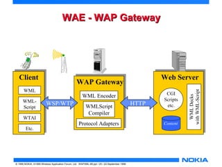 WWAAEE -- WWAAPP GGaatteewwaayy 
© 1999 NOKIA, ©1999 Wireless Application Forum, Ltd. WAPXML-99.ppt / 25 / 22-September 1999 
Web Server 
CGI 
Scripts 
etc. 
Content 
WML Decks 
with WML-Script 
WAP Gateway 
WML Encoder 
WMLScript 
Compiler 
Protocol Adapters 
Client 
WML 
WML-Script 
WTAI 
Etc. 
WSP/WTP HTTP 
 