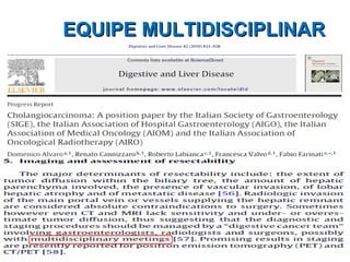 EQUIPE MULTIDISCIPLINAR 