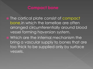  The cortical plate consist of compact
bone,in which the lamellae are often
arranged circumferentially around blood
vessel forming haversian system.
 Which are the internal mechanism the
bring a vascular supply to bones that are
too thick to be supplied only by surface
vessels.
Compact bone
 