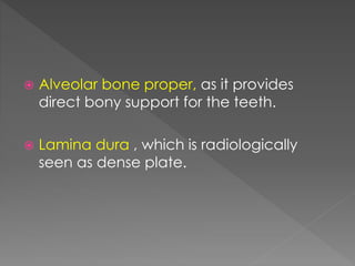  Alveolar bone proper, as it provides
direct bony support for the teeth.
 Lamina dura , which is radiologically
seen as dense plate.
 
