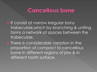  It consist of narrow irregular bony
trabeculae,which by branching & uniting
forms a network of spaces between the
trabeculae.
 There is considerable variation in the
proportion of compact to cancellous
bone in different regions of jaw & in
different tooth surface.
 