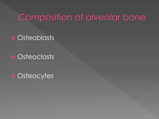  Osteoblasts
 Osteoclasts
 Osteocytes
 