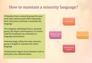 How to maintain a minority language?
•If families from a minority group live near
each other and see each other frequently,
their interaction will help to maintain the
language.
•For emigrate individuals from a minority
group, the degree and frequency of contact
with the homeland can contribute to
language maintenance.
•Intermarriage within the same minority
group is helpful to maintain the native
language
•Institutional support from domains such as
education, law, administration.
Interaction
Intermarriage
Institutional
support
Contact with
homeland
 