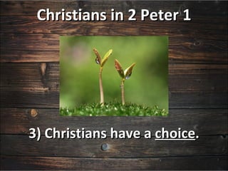 Christians in 2 Peter 1




3) Christians have a choice.
 