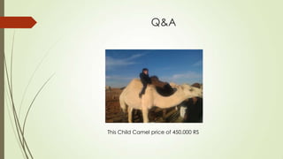 Q&A




This Child Camel price of 450,000 RS
 