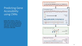 Predicting Gene
Accessibility
using CNNs
Kelley DR, Snoek J, Rinn JL.
Basset: learning the regulatory
code of the accessible genome
with deep convolutional neural
networks. Genome Research.
2016;26(7):990-999.
34
 