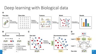 Deep learning with Biological data
35
 