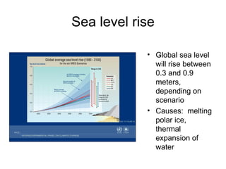 Sea level rise Global sea level will rise between 0.3 and 0.9 meters, depending on scenario Causes:  melting polar ice, thermal expansion of water Source:  IPCC, 2001 
