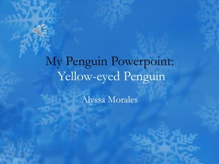 My Penguin Powerpoint:  Yellow-eyed Penguin Alyssa Morales 
