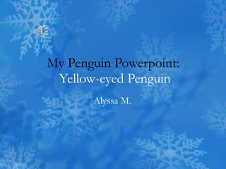 My Penguin Powerpoint:  Yellow-eyed Penguin Alyssa M. 