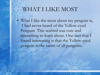 WHAT I LIKE MOST What I like the most about my penguin is,  I had never heard of the Yellow-eyed Penguin. This seabird was cute and interesting to learn about. One fact that I found interesting is that the Yellow-eyed penguin is the rarest of all penguins.  