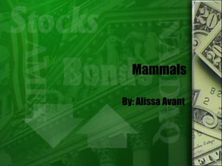 Mammals By: Alissa Avant  