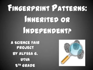 Fingerprint Patterns:
     Inherited or
    Independent?
A Science Fair
   Project
 By Alyssa G.
     UTVA
  5th Grade
 