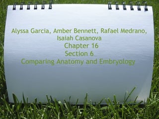 Alyssa Garcia, Amber Bennett, Rafael Medrano,
                Isaiah Casanova 
                Chapter 16
                Section 6
   Comparing Anatomy and Embryology 
 