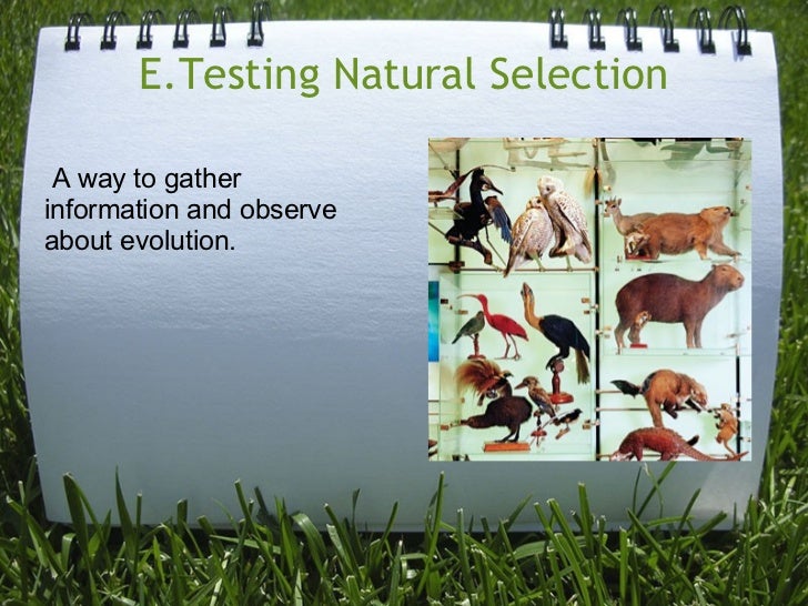What Information Can One Gather In Natural Experient What Information Can One Gather In Natural Experient