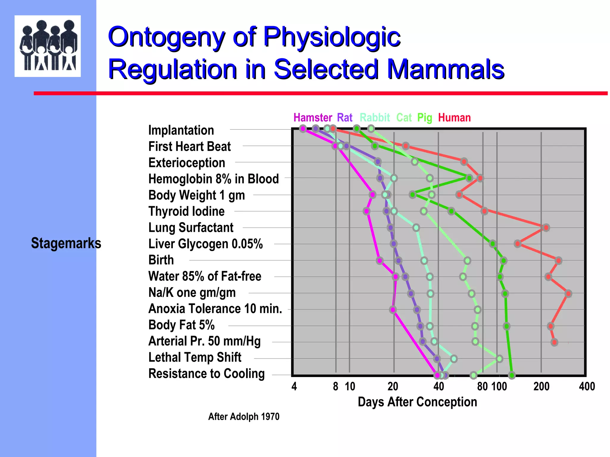 Ontogeny of Physiologic
Regulation in Selected Mammals

Stagemarks

Implantation
First Heart Beat
Exterioception
Hemoglobin 8% in Blood
Body Weight 1 gm
Thyroid Iodine
Lung Surfactant
Liver Glycogen 0.05%
Birth
Water 85% of Fat-free
Na/K one gm/gm
Anoxia Tolerance 10 min.
Body Fat 5%
Arterial Pr. 50 mm/Hg
Lethal Temp Shift
Resistance to Cooling

Hamster Rat Rabbit Cat Pig Human

4

8 10

20

40

80 100

Days After Conception
After Adolph 1970

200

400

 