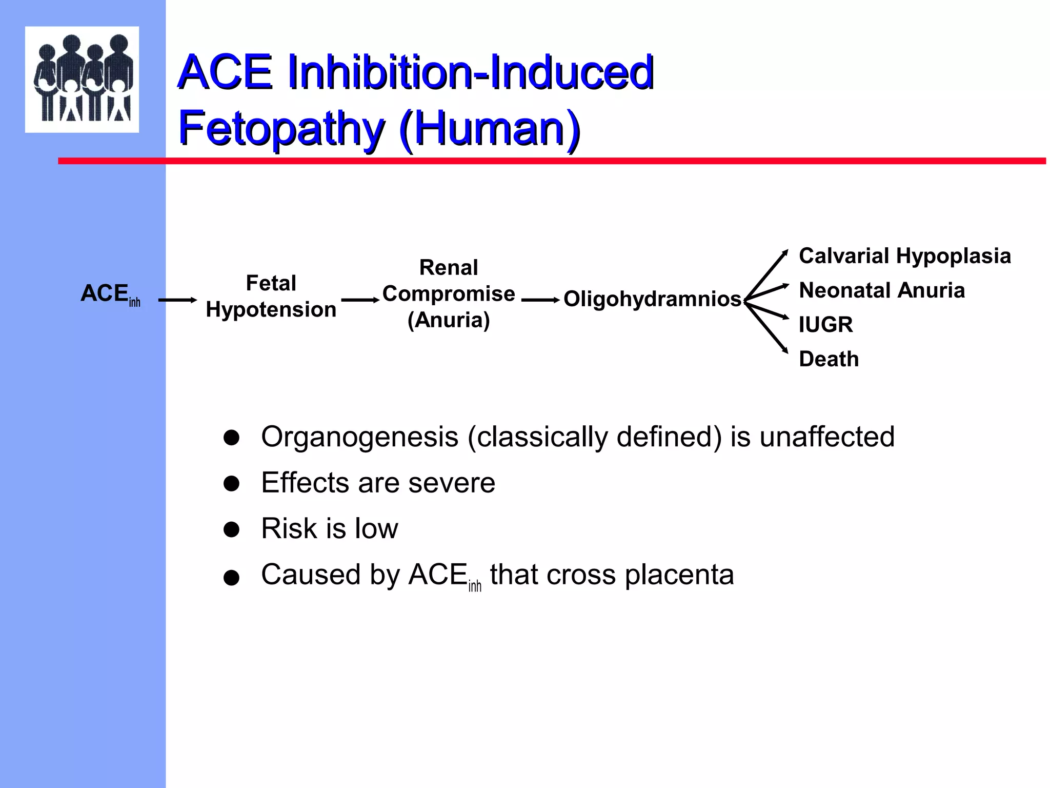 ACE Inhibition-Induced
Fetopathy (Human)

ACEinh

Fetal
Hypotension

Renal
Compromise
(Anuria)

Calvarial Hypoplasia
Oligohydramnios

Neonatal Anuria
IUGR
Death

•
•
•
•

Organogenesis (classically defined) is unaffected
Effects are severe
Risk is low
Caused by ACEinh that cross placenta

 