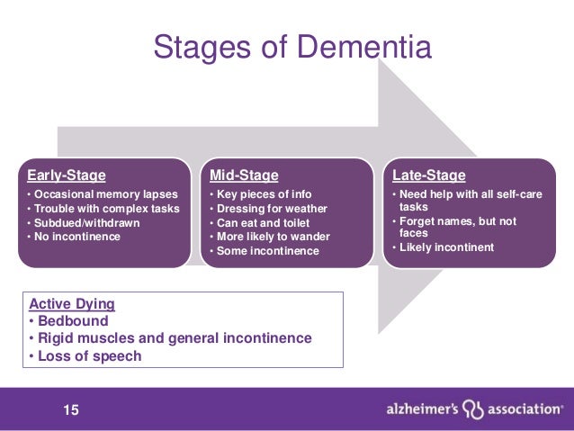 Occasional Memory Lapses