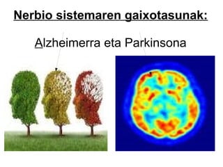 Nerbio sistemaren gaixotasunak:
Alzheimerra eta Parkinsona
 