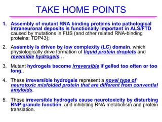 TAKE HOME POINTS
1. Assembly of mutant RNA binding proteins into pathological
intraneuronal deposits is functionally important in ALS/FTD
caused by mutations in FUS (and other related RNA-binding
proteins: TDP43);
2. Assembly is driven by low complexity (LC) domain, which
physiologically drive formation of liquid protein droplets and
reversible hydrogels…
3. Mutant hydrogels become irreversible if gelled too often or too
long..
4. These irreversible hydrogels represent a novel type of
neurotoxic misfolded protein that are different from convential
amyloids.
5. These irreversible hydrogels cause neurotoxicity by disturbing
RNP granule function, and inhibiting RNA metabolism and protein
translation.
 