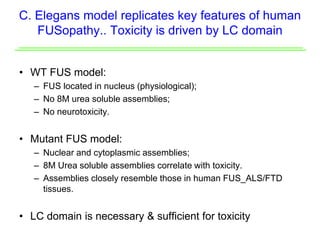 C. Elegans model replicates key features of human
FUSopathy.. Toxicity is driven by LC domain
• WT FUS model:
– FUS located in nucleus (physiological);
– No 8M urea soluble assemblies;
– No neurotoxicity.
• Mutant FUS model:
– Nuclear and cytoplasmic assemblies;
– 8M Urea soluble assemblies correlate with toxicity.
– Assemblies closely resemble those in human FUS_ALS/FTD
tissues.
• LC domain is necessary & sufficient for toxicity
 
