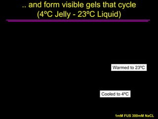 .. and form visible gels that cycle
(4ºC Jelly - 23ºC Liquid)
Warmed to 23ºC
Cooled to 4ºC
1mM FUS 300mM NaCL
 