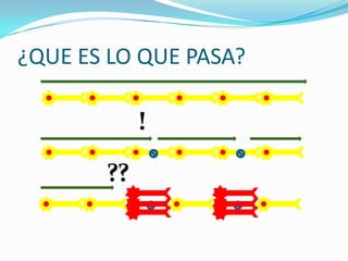 ¿QUE ES LO QUE PASA?!??