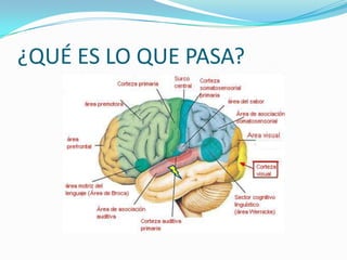 ¿QUÉ ES LO QUE PASA?