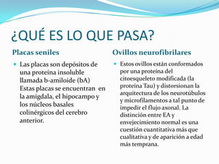 ¿QUÉ ES LO QUE PASA?Placas senilesOvillos neurofibrilaresLas placas son depósitos de una proteína insoluble llamada b-amiloide (bA) Estas placas se encuentran  en la amígdala, el hipocampo y los núcleos basales colinérgicos del cerebro anterior.Estos ovillos están conformados por una proteína del citoesqueleto modificada (la proteína Tau) y distorsionan la arquitectura de los neurotúbulos y microfilamentos a tal punto de impedir el flujo axonal. La distinción entre EA y envejecimiento normal es una cuestión cuantitativa más que cualitativa y de aparición a edad más temprana. 