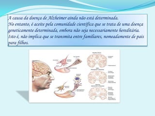 A causa da doença de Alzheimer ainda não está determinada. No entanto, é aceite pela comunidade científica que se trata de uma doença geneticamente determinada, embora não seja necessariamente hereditária. Isto é, não implica que se transmita entre familiares, nomeadamente de pais para filhos.