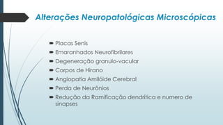 Alterações Neuropatológicas Microscópicas
 Placas Senis
 Emaranhados Neurofibrilares
 Degeneração granulo-vacular
 Corpos de Hirano
 Angiopatia Amilóide Cerebral
 Perda de Neurônios
 Redução da Ramificação dendrítica e numero de
sinapses
 