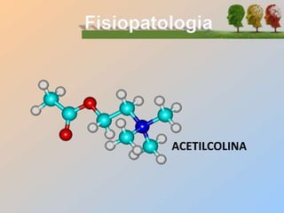 ACETILCOLINA
 