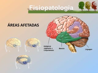 ÁREAS AFETADAS
 
